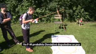 Ve F-M proběhlo dovádivé dopoledne se psy