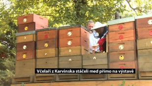 Včelaři z Karvinska stáčeli med přímo na výstavě