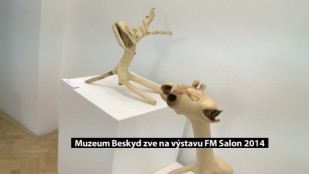 Muzeum Beskyd zve na výstavu FM Salon 2014