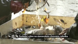 Poslední výlov na stonavském chovném rybníku