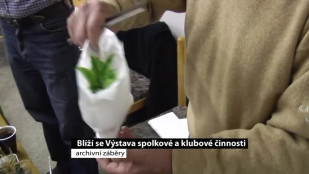 Blíží se Výstava spolkové a klubové činnosti