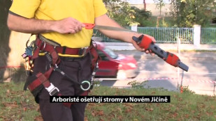 Arboristé ošetřují také stromy v Novém Jičíně