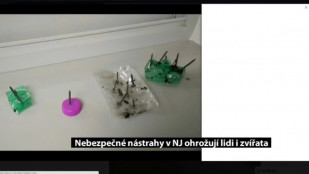 Nebezpečné nástrahy v NJ ohrožují lidi i zvířata