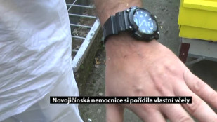 Novojičínská nemocnice si pořídila vlastní včely