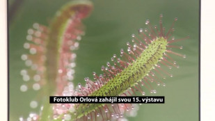 Fotoklub Orlová zahájil svou 15. výstavu