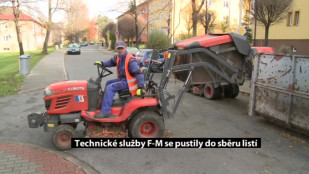 Technické služby F-M se pustily do sběru listí