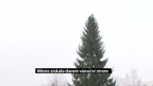 Město získalo darem vánoční strom