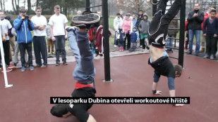 V karvinském lesoparku Dubina otevřeli nové workoutové hřiště