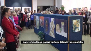 Galerie Studánka nabízí výstavu talentované malířky