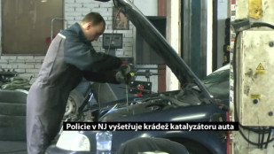 Policie v NJ vyšetřuje krádež katalyzátoru auta