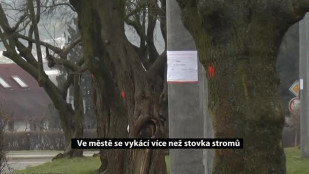 Ve městě se vykácí více než stovka stromů