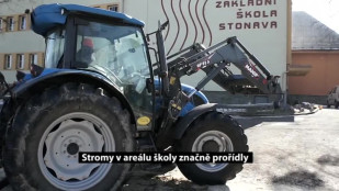 Stromy v areálu školy značně prořídly