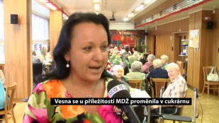 Vesna se u příležitosti MDŽ proměnila v cukrárnu