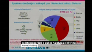 Město nebude pořádat e-akce na plyn a elektřinu