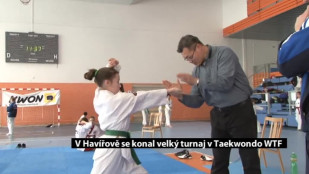 V Městské sportovní hale se konal velký turnaj v taekwondo