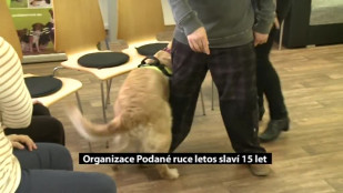 Organizace Podané ruce letos slaví 15 let