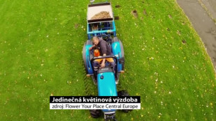 Jedinečná květinová výzdoba v Karviné