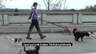 První jarní psí trek kolem Těrlické přehrady se vydařil