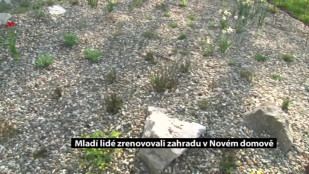 Mladí lidé zrenovovali zahradu v karvinském Novém domově