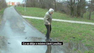 Co se děje v místní části Loučka