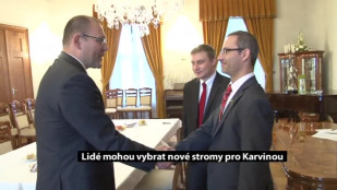 Lidé mohou vybrat nové stromy pro Karvinou