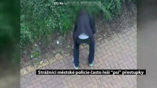 Strážníci městské policie často řeší “psí” přestupky