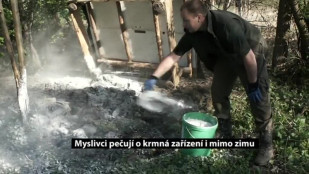 Myslivci pečují o krmná zařízení i mimo zimu