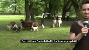 Den dětí se v Sadech Bedřicha Smetany vydařil