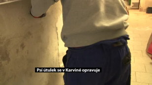 Útulek pro psy v Karviné-Darkově se opravuje