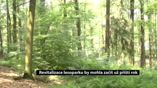 Revitalizace lesoparku by mohla začít už příští rok