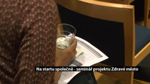 Na startu společně - seminář projektu Zdravé město