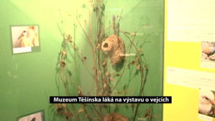 Muzeum Těšínska láká na výstavu o vejcích