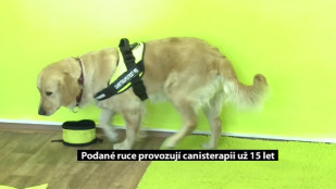 Podané ruce provozují canisterapii už patnáct let