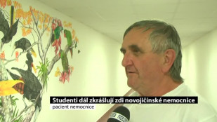 Studenti dál zkrášlují zdi novojičínské nemocnice