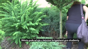 Město pokračuje s letními brigádami pro studenty