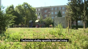 Technické služby spustily třetí seč trávy