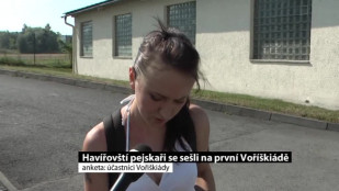 Havířovští pejskaři se sešli na první Voříškiádě