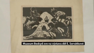 Muzeum Beskyd zve na výstavu děl E. Servátkové