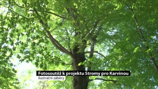 Fotosoutěž k projektu Stromy pro Karvinou