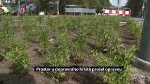 Prostor u dopravního hřiště prošel úpravou