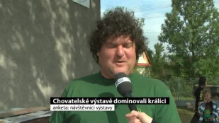 Chovatelské výstavě dominovali králíci