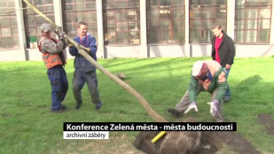 Konference Zelená města - města budoucnosti