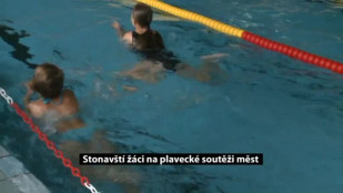 Stonavští žáci na plavecké soutěži měst