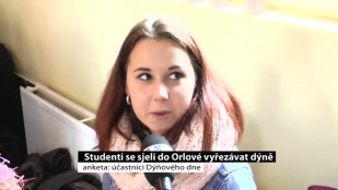 Studenti se sjeli do Orlové vyřezávat dýně