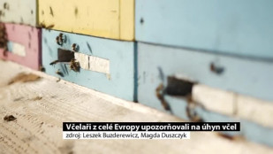 Včelaři z celé Evropy upozorňovali na úhyn včel i v Karviné