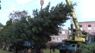 V Bruntále byl instalován letošní vánoční strom