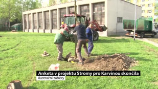 Skončila anketa k projektu Stromy pro Karvinou