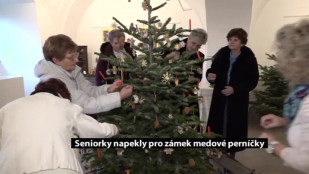 Seniorky z Karviné napekly pro zámek Fryštát medové perníky