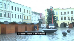 Vánoční strom je z Bludovic