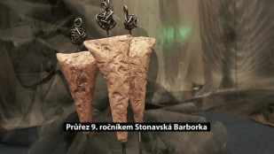 Průřez 9. ročníkem festivalu Stonavská Barborka